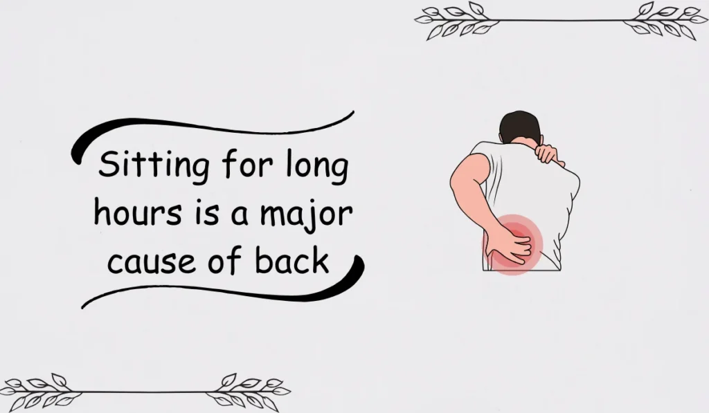 back-jokes