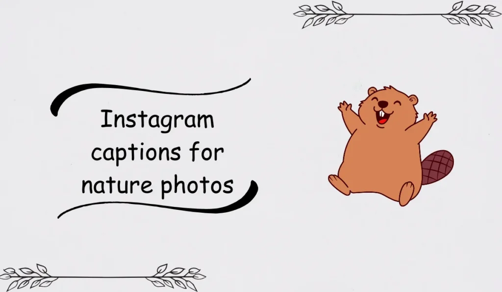 beaver jokes for adults