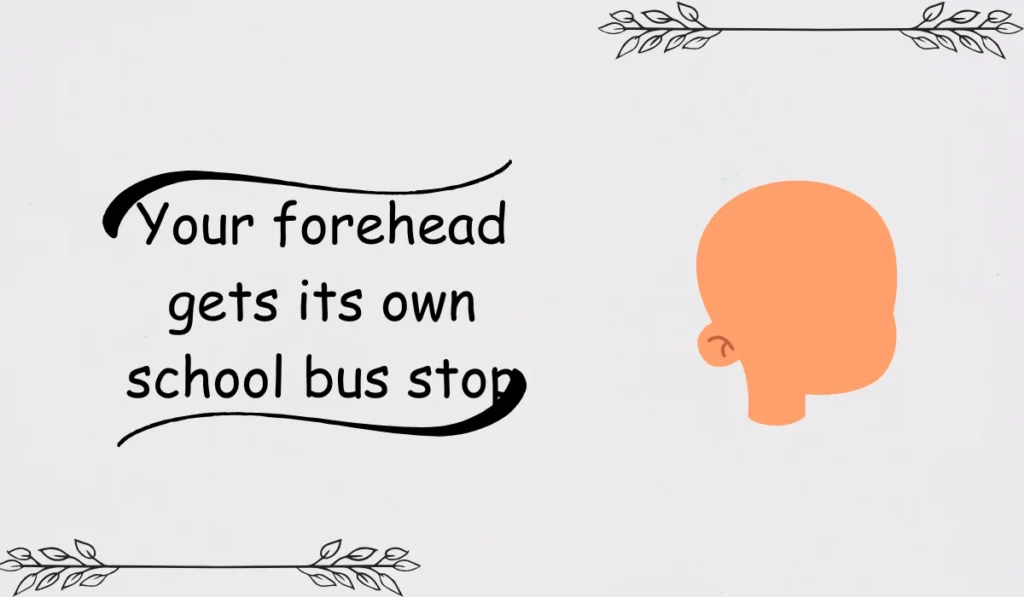 Your forehead gets its own school bus stop