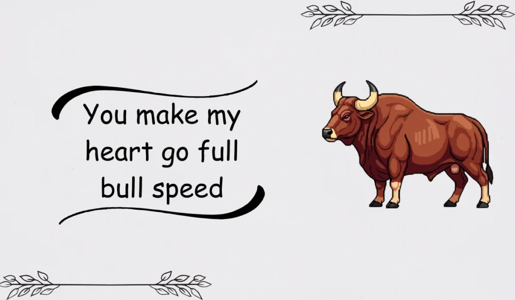 bull jokes