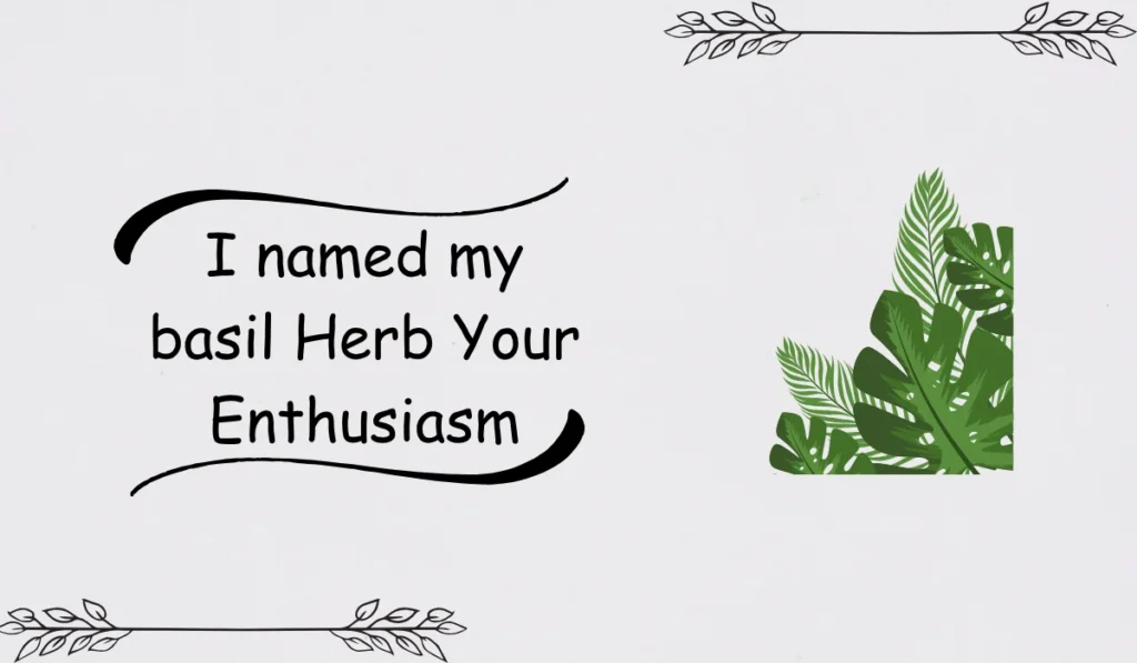 jokes about plants