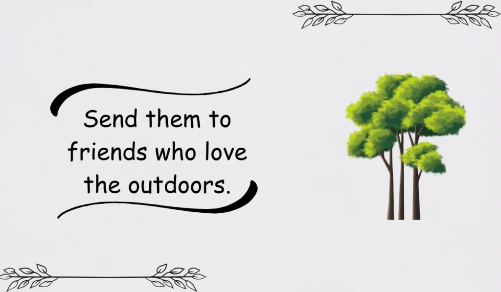 jokes about trees