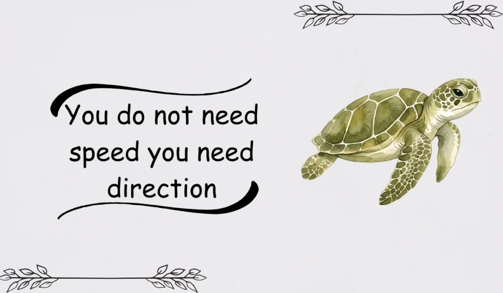 jokes about turtles