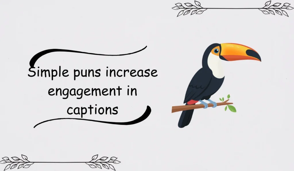 toucan jokes